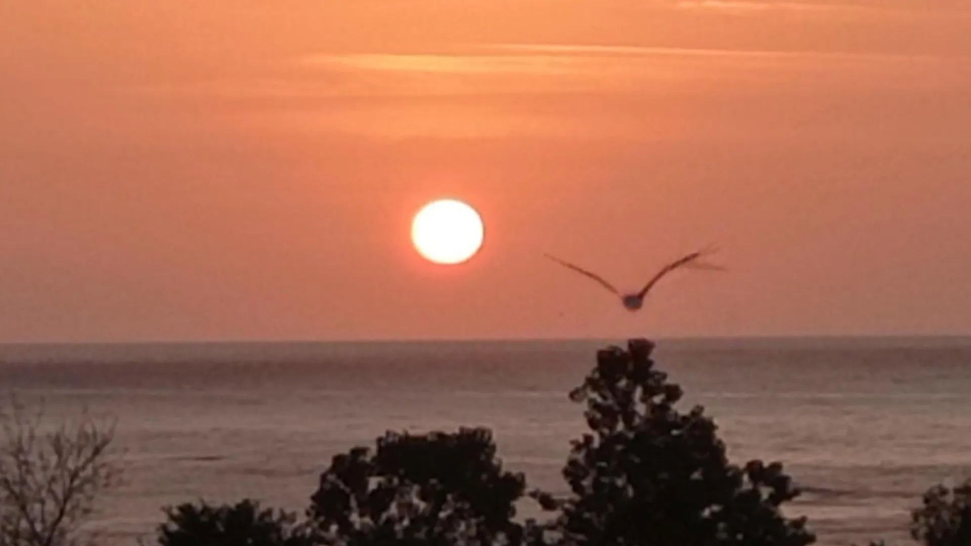 Lily Beach Resort - Sunrise Over The Sea - Sozopol Apartment